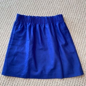 JCrew Blue Skirt